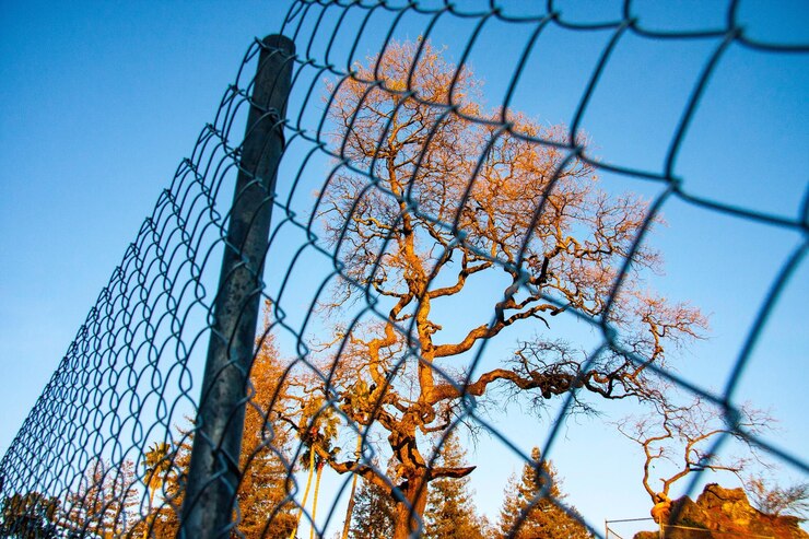 Chain Link Fencing